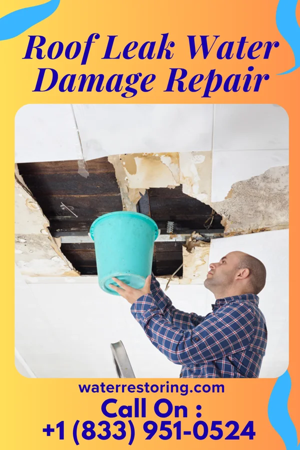 Roof Leak Water Damage Repair in Oak Hill, KS